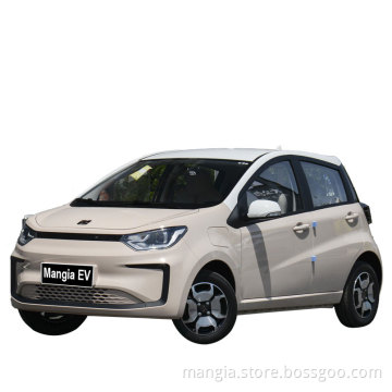 High quality mini SUV electric car made in China 4-wheel cheap new energy adult electric car sales